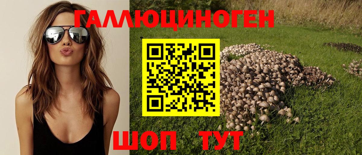 Галлюциногенные грибы Psilocybe Тельмана